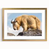 Extra large abstract art print of a Bhutanese landscape in textured gold frame, ideal for living room decor.