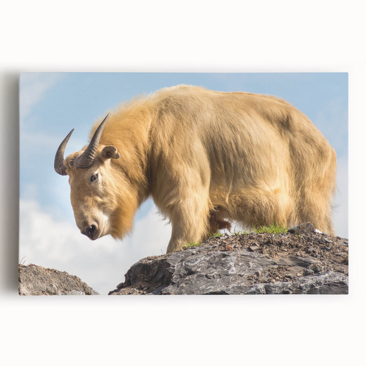 Black and white photo of Bhutanese landscape on stretched canvas, ideal for kitchen wall art.