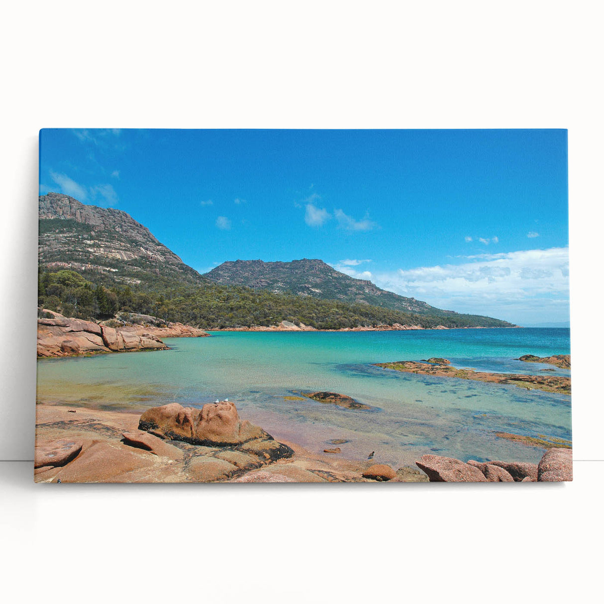 Black and white photo of Tasmania scenery on large stretched canvas, ideal for kitchen wall art.