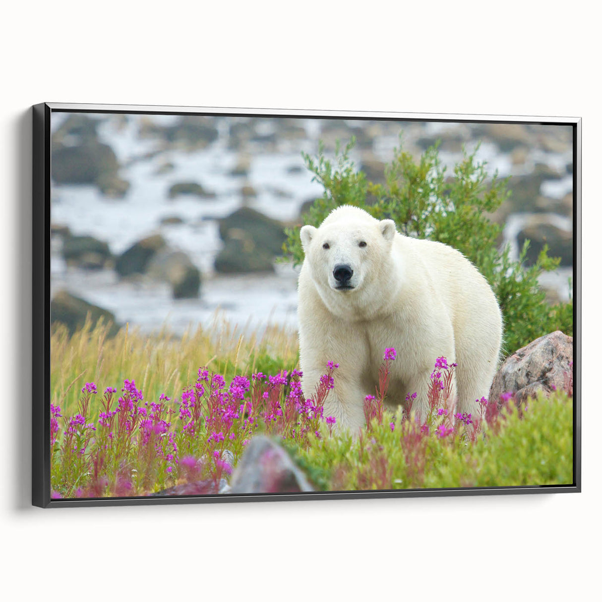 Black and white framed canvas depicting a vintage Manitoba landscape, ideal for bedroom wall decor.