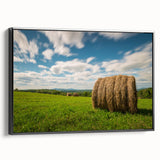 Black and white framed canvas depicting a vintage-style New Brunswick landscape, ideal for bedroom wall art.