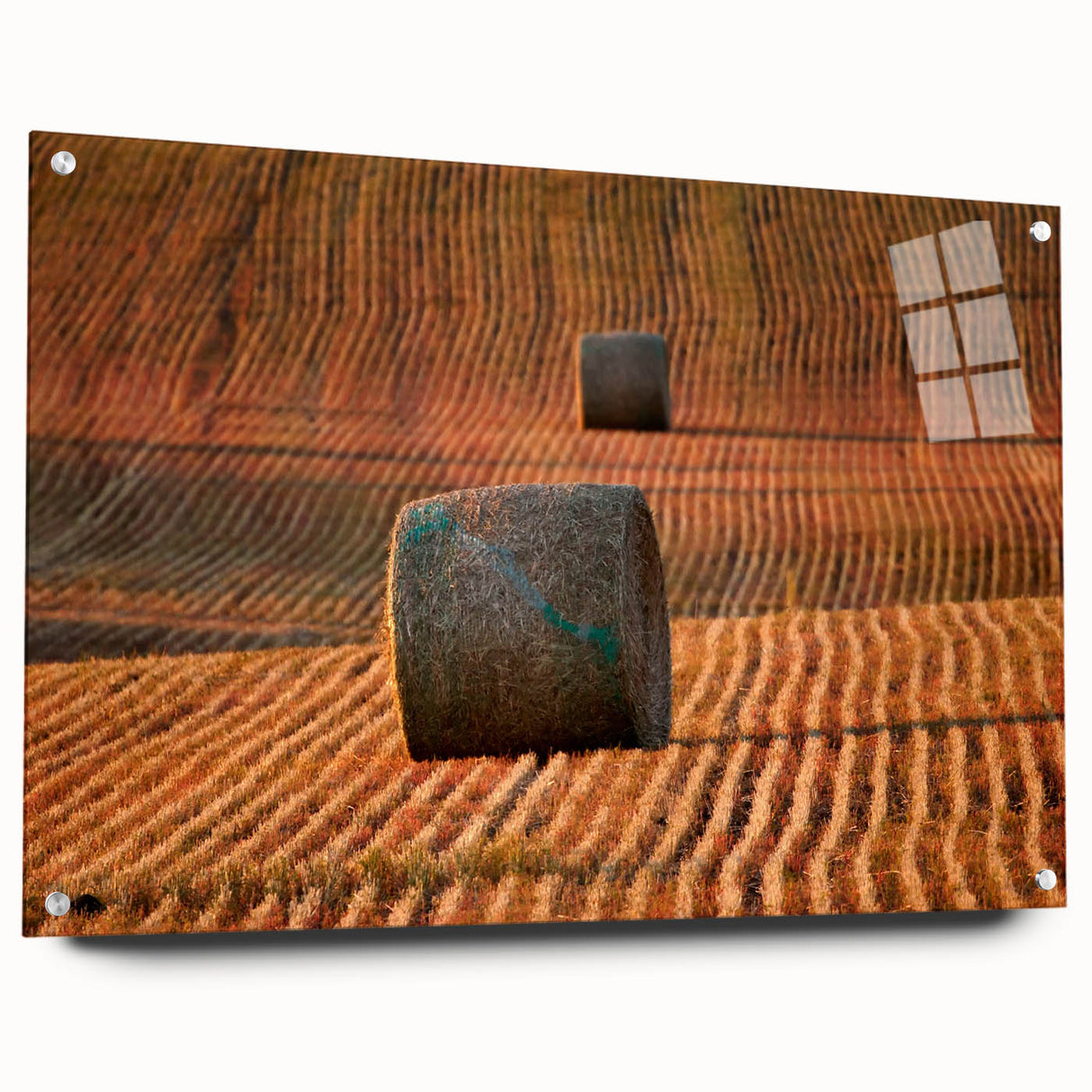 Acrylic glass print of a Saskatchewan landscape in muted earth tones, ideal for dining room decor.