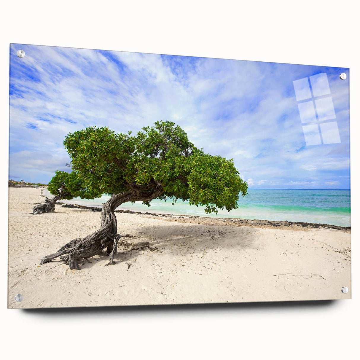 Acrylic print of a Caribbean Aruba scenery in vibrant blue and turquoise, suitable for bedroom or dining room decor.