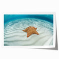 Caribbean Virgin Islands landscape on rolled print, with lush greenery and ocean in pastel shades.