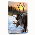 Acrylic glass print of a serene Finnish landscape in cool blue and green tones, suitable for bedroom or dining room decor.