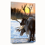 Acrylic glass print of a serene Finnish landscape in cool blue and green tones, suitable for bedroom or dining room decor.