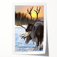 Rolled print featuring a serene Finnish landscape with lush greenery and a tranquil lake, ideal for dining room wall art.