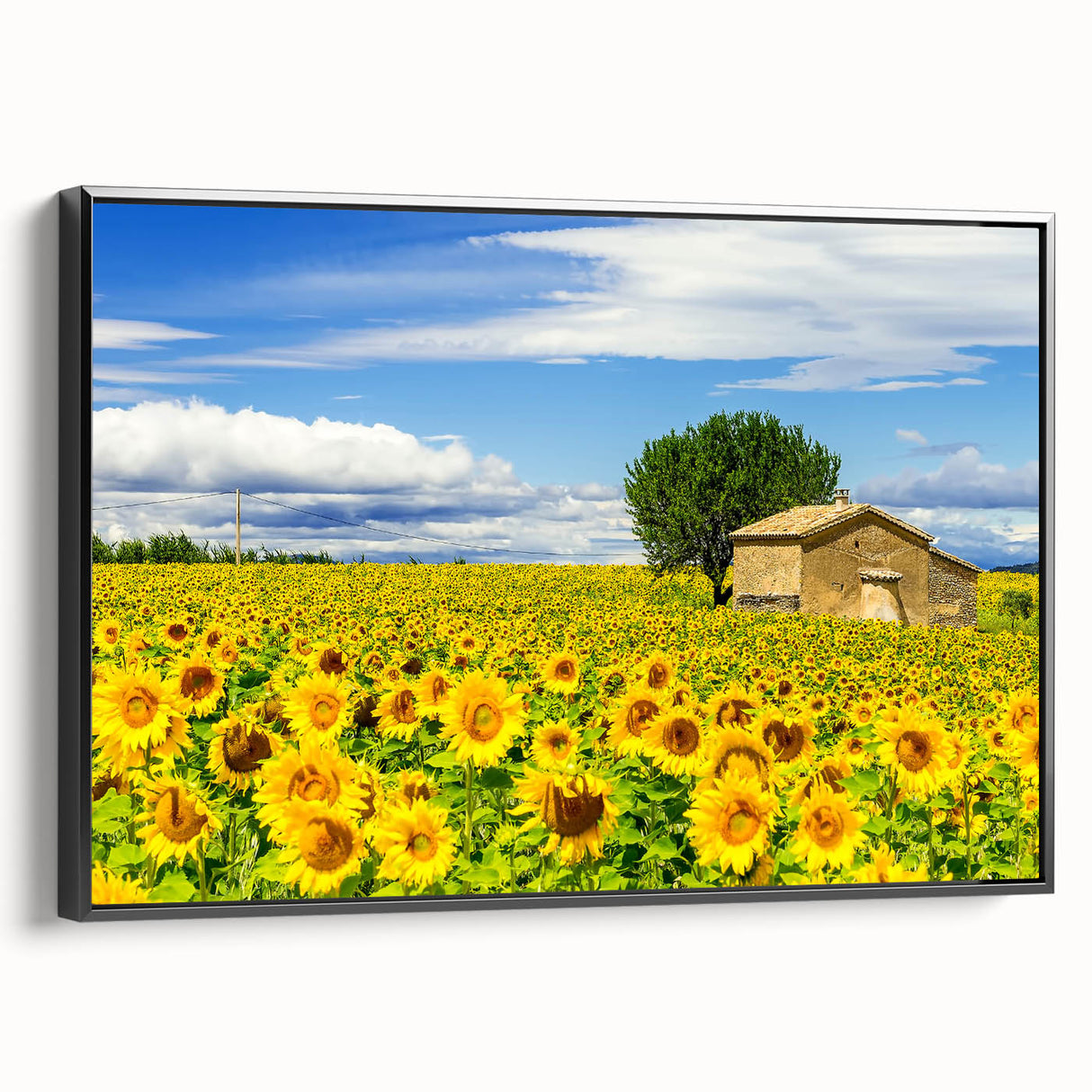Black and white vintage poster art of a South France landscape on framed canvas, ideal for bedroom wall decor.