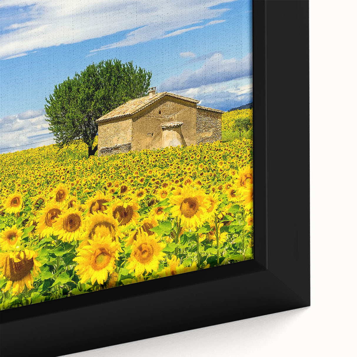 Extra large framed canvas featuring a textured depiction of a southern France landscape in black with colorful art accents.