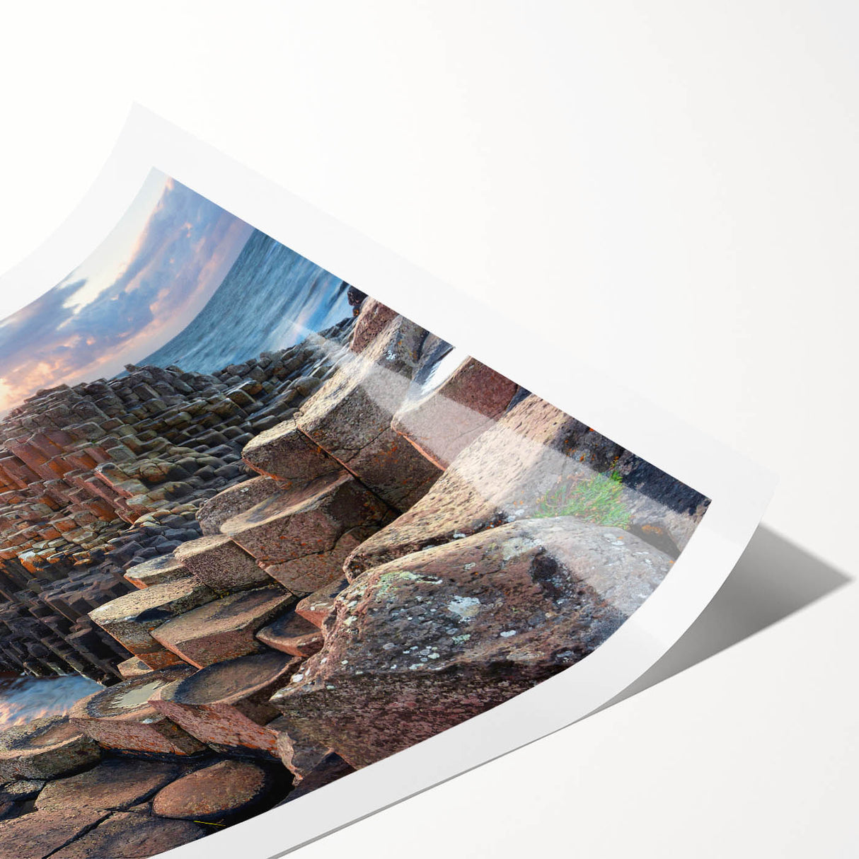 Extra large rolled print depicting line art flowers in muted earth tones, ideal for large living room wall art.
