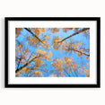 Extra large, textured abstract art print of colorful, undefined shapes on a black framed canvas, ideal for living room decor.