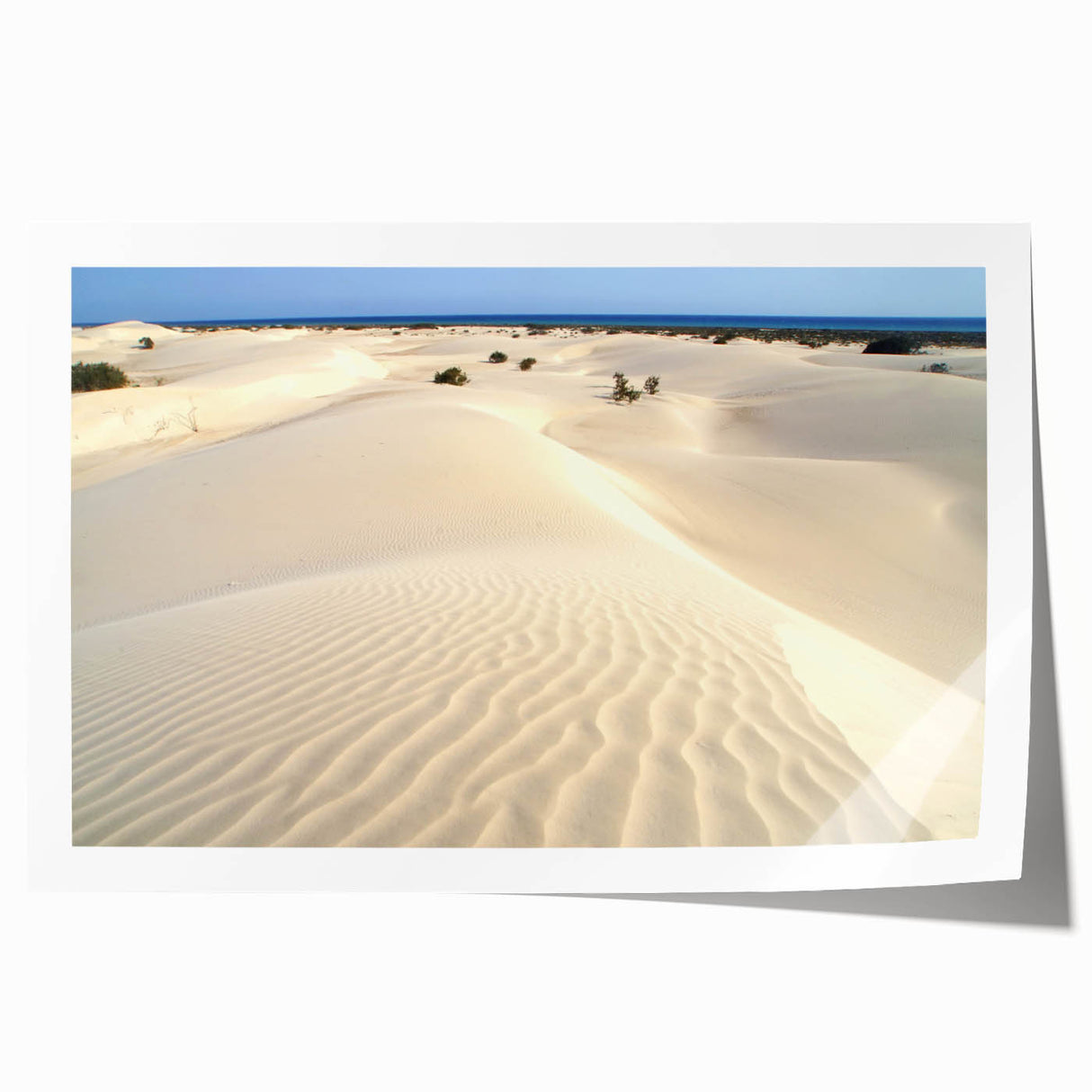 Rolled print of a Middle Eastern scenery with vibrant floral elements in muted earth tones.