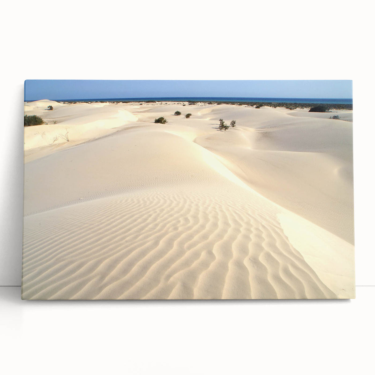Black and white stretched canvas of a Middle Eastern scenery, ideal for kitchen wall art or bedroom ambiance.