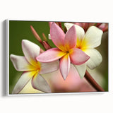 Vintage poster art of a scenic Oceania Fiji landscape on a framed canvas, featuring vibrant colors.