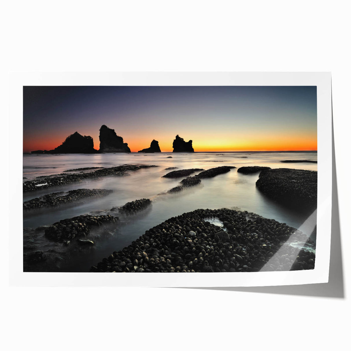 Rolled print of New Zealand's West Coast with muted earth tones, ideal for dining room wall art.