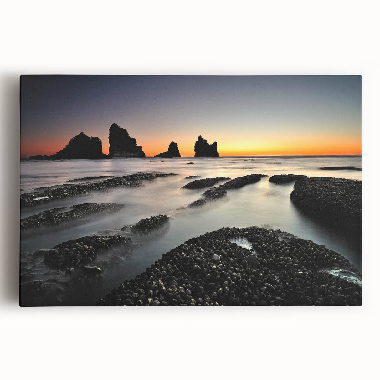 Black and white photo of New Zealand's West Coast on stretched canvas, ideal for kitchen wall art.