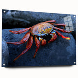 Acrylic glass print of a Galapagos landscape in muted earth tones, ideal for dining room art.