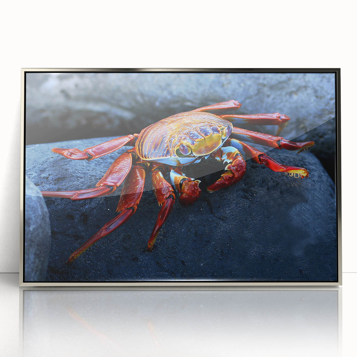 Mid-century modernist art depicting the Galapagos scenery in muted earth tones on a framed acrylic print.