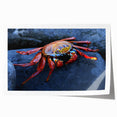 Rolled print of a Galapagos scenery with soft blue and green tones, suitable as art wall dining room decor.
