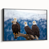 Black and white framed canvas of an Alaskan landscape, perfect for bedroom wall decor.