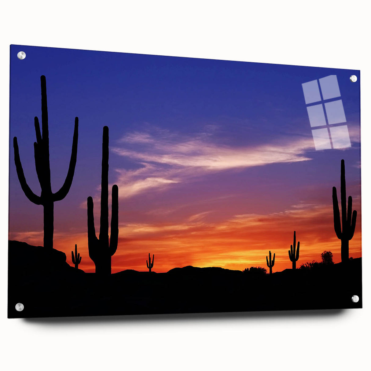 Acrylic print of the Sonoran Desert in Arizona, featuring earth tones and cacti, ideal for bedroom or dining room decor.