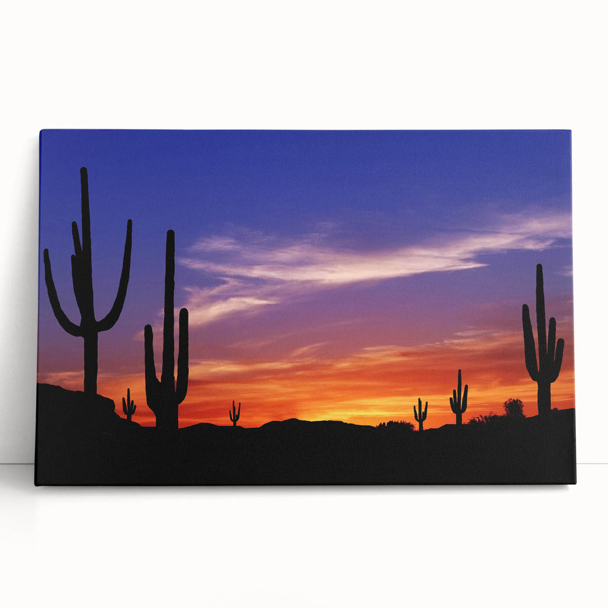 Black and white photograph of the Sonoran Desert on stretched canvas, ideal for kitchen wall art or bedroom decor.