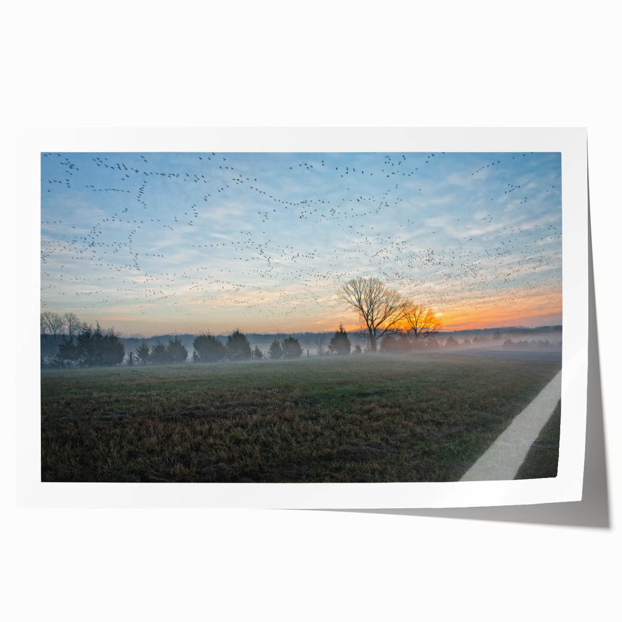 Rolled print of an Arkansas landscape featuring soft pastel shades, ideal for art wall dining room.