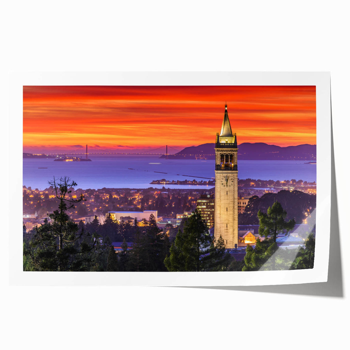 Extra large rolled print of Berkeley, California scenery with vibrant floral elements, ideal for art wall in dining room.