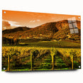 Acrylic print of Napa Valley landscape in earth tones, suitable for dining room or bedroom wall art.