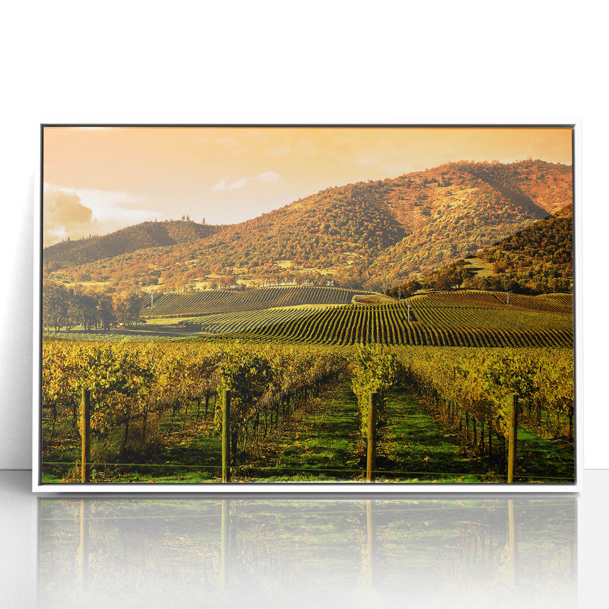Acrylic print of Napa Valley landscape in soft, earthy tones, framed in white, suitable for modern art wall decor.