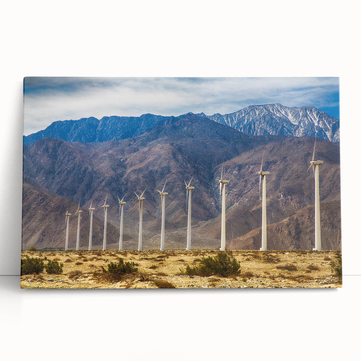 Black and white photograph of Palm Springs scenery on stretched canvas, suitable for kitchen or bedroom wall art.