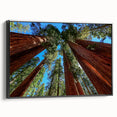 Black and white landscape art painting of California sequoias on a framed canvas, suited for bedroom decor.