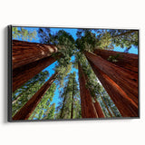 Black and white landscape art painting of California sequoias on a framed canvas, suited for bedroom decor.