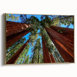 Vintage poster art of a California sequoia on a framed canvas, featuring colorful art with gold and black tones.