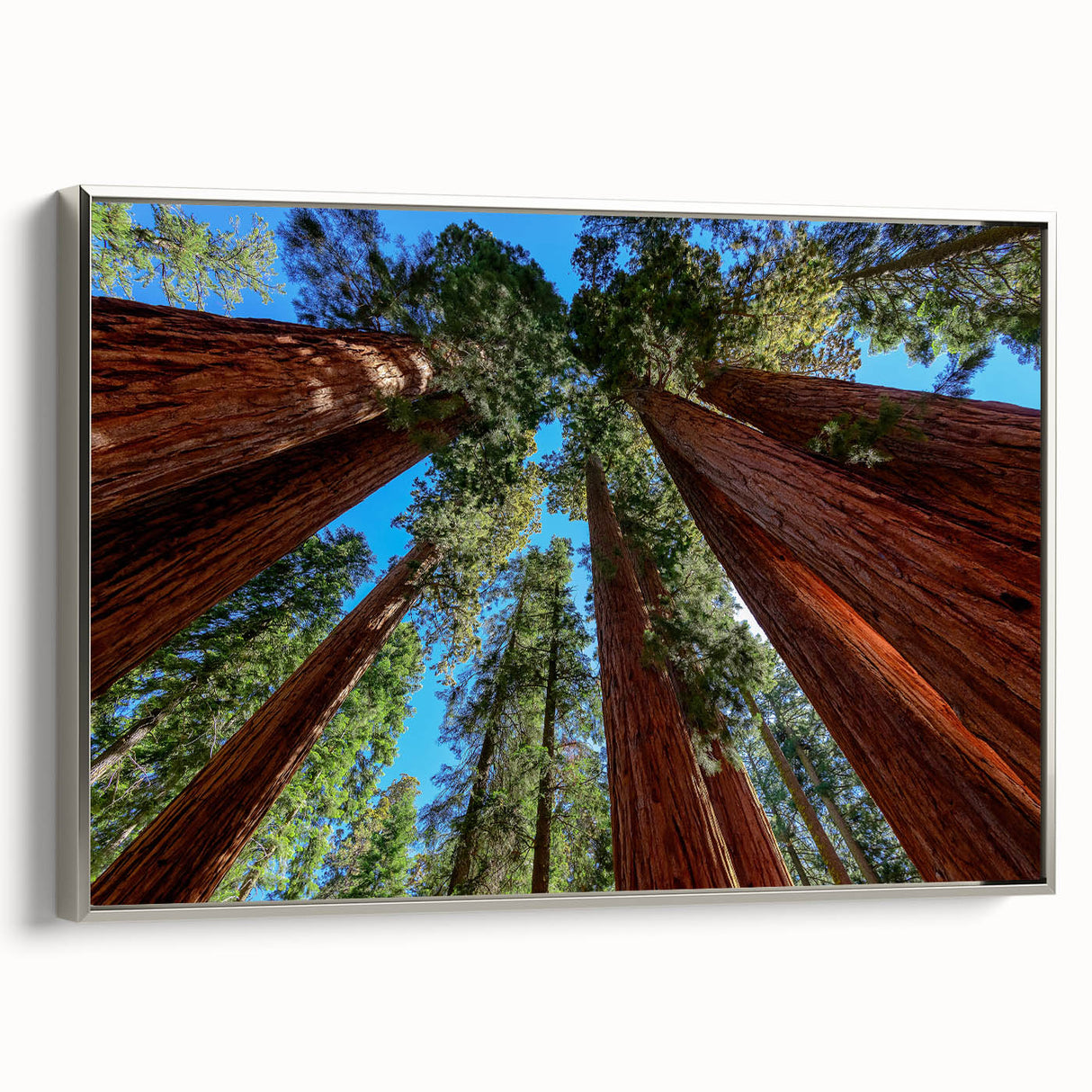 Framed canvas depicting a vintage-style landscape of California's Sequoia National Park in muted earth tones.