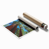 Extra large rolled print of a Sequoia landscape in muted earth tones.