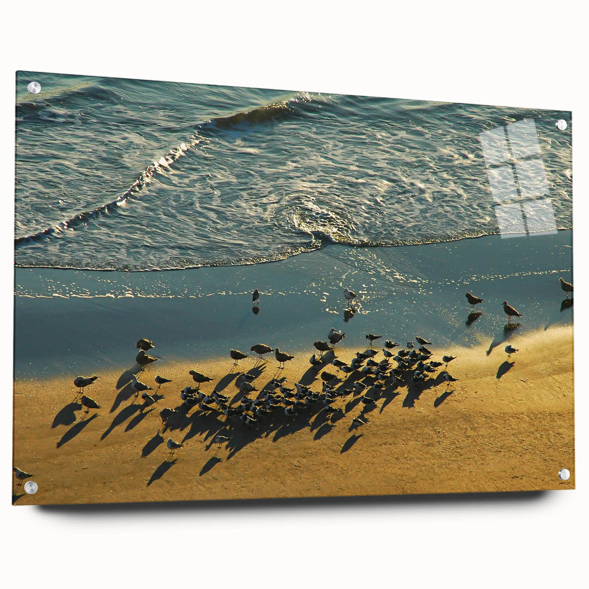 Acrylic print of Daytona scenery with vivid blue and green tones, suitable for dining room decor.