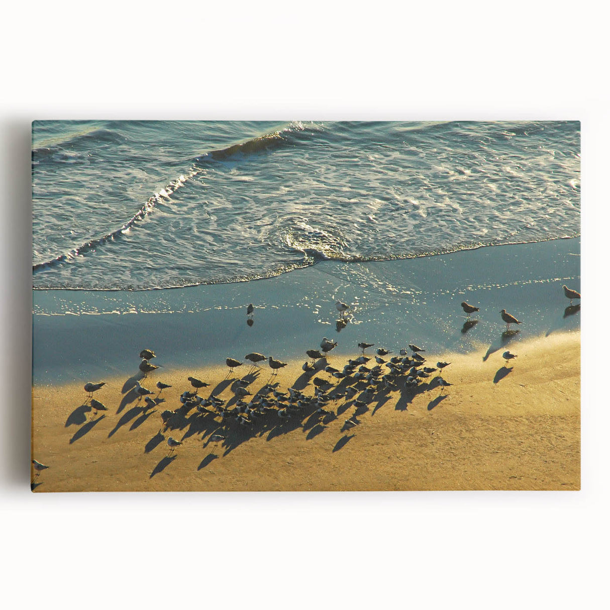 Black and white stretched canvas featuring Daytona Beach scenery, ideal for kitchen wall art.