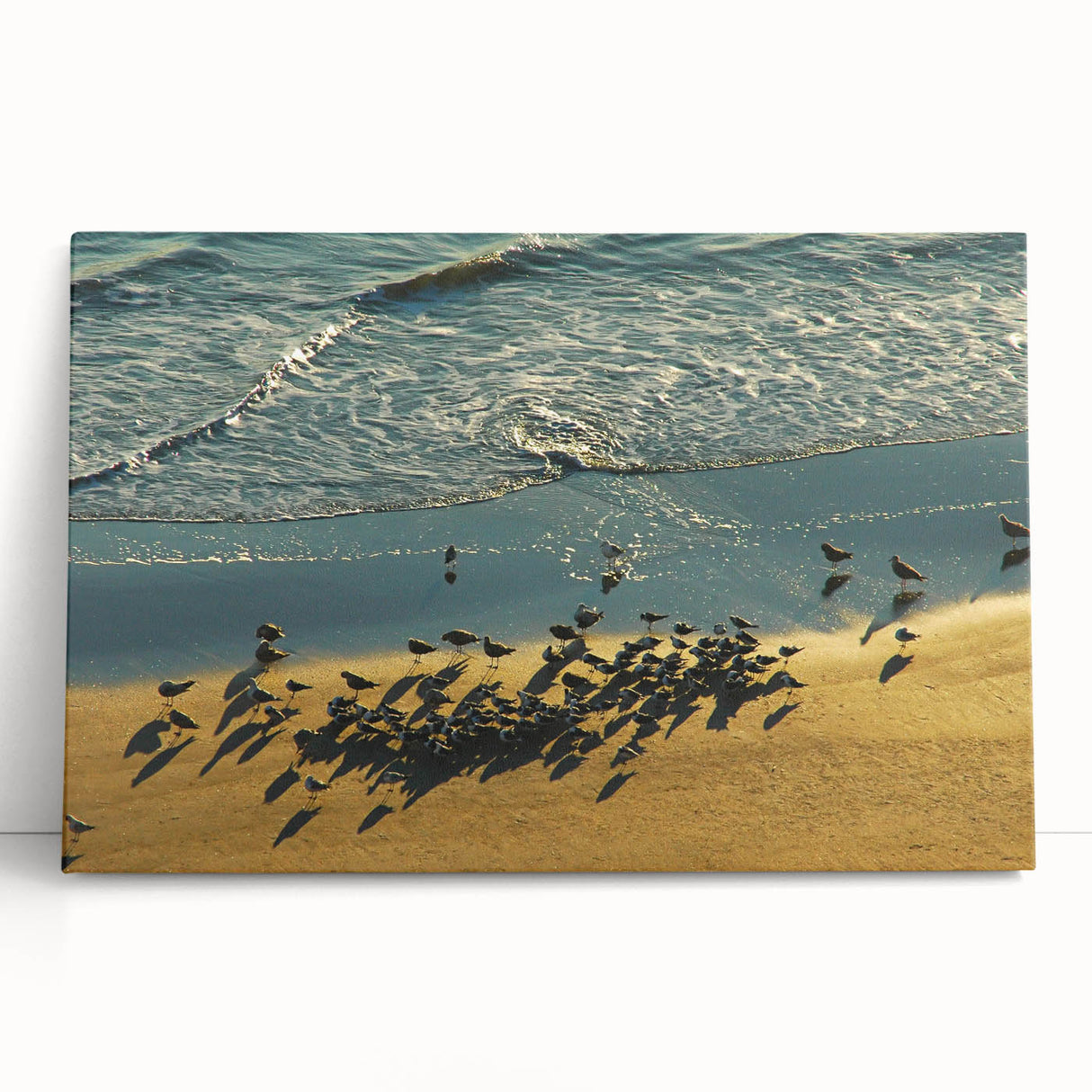 Black and white stretched canvas of Daytona scenery, ideal for kitchen wall art or bedroom ambiance.