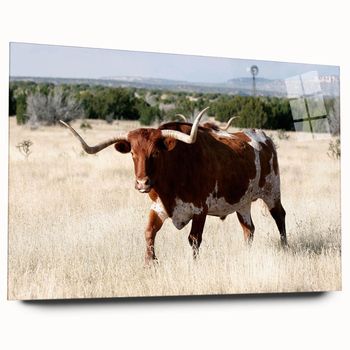 Large abstract wall art depicting New Mexico scenery in muted earth tones on acrylic glass.