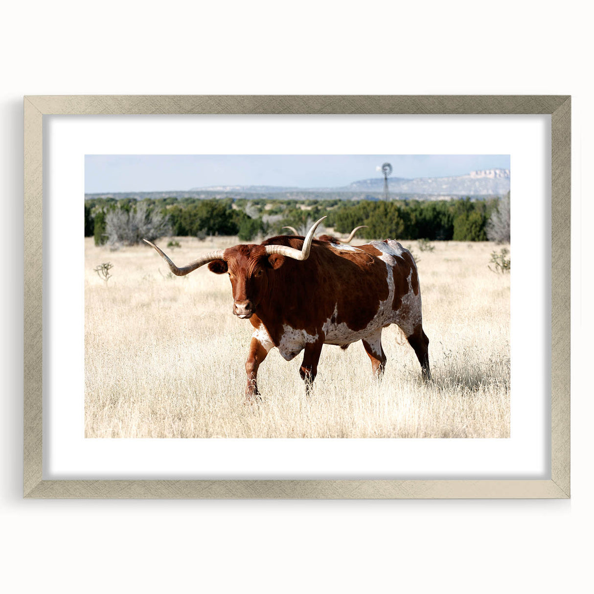 Textured abstract art print depicting a New Mexico landscape in earth tones, framed in silver, suitable for bedroom decor.