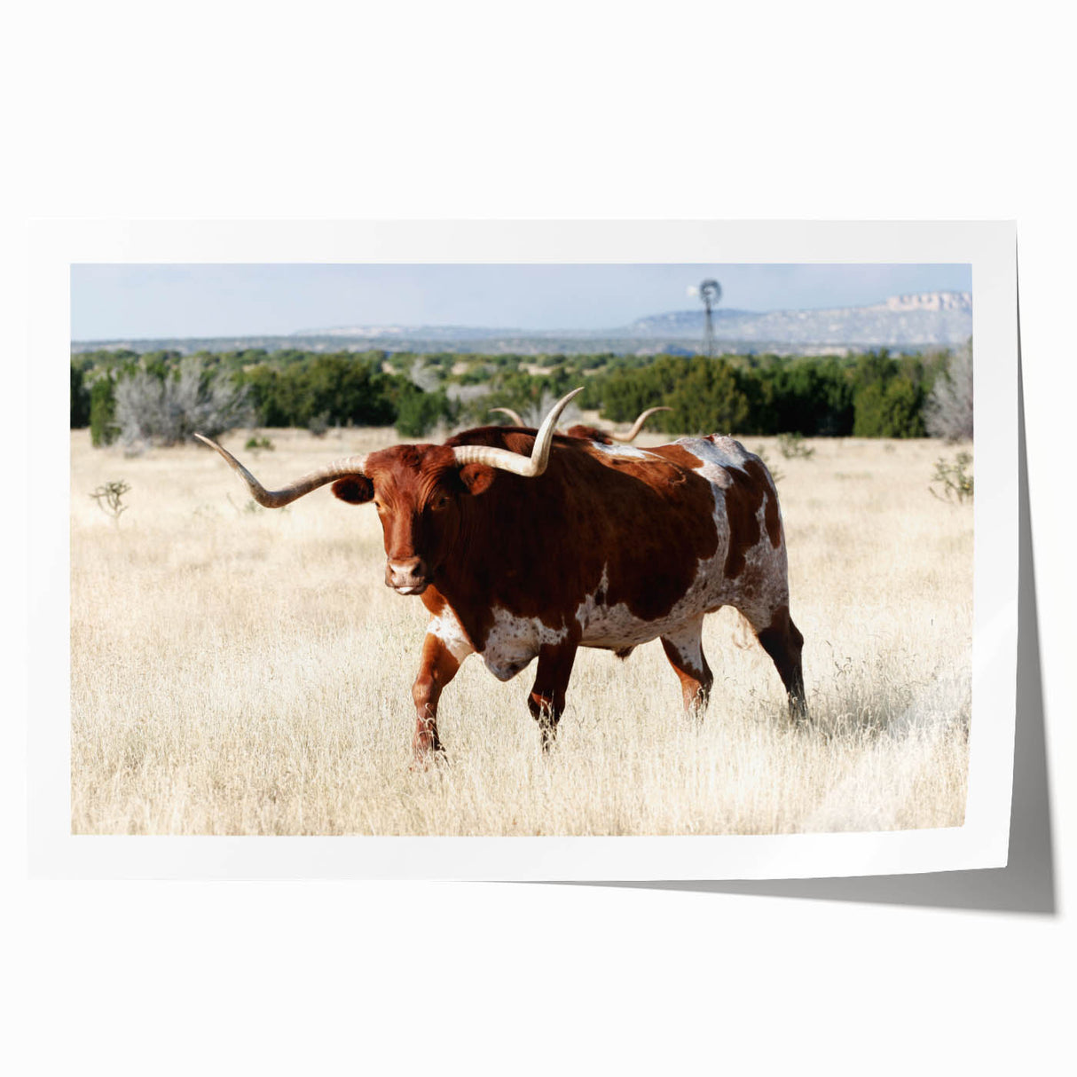 Rolled print of a New Mexico landscape with muted earth tones, ideal for art wall dining room.