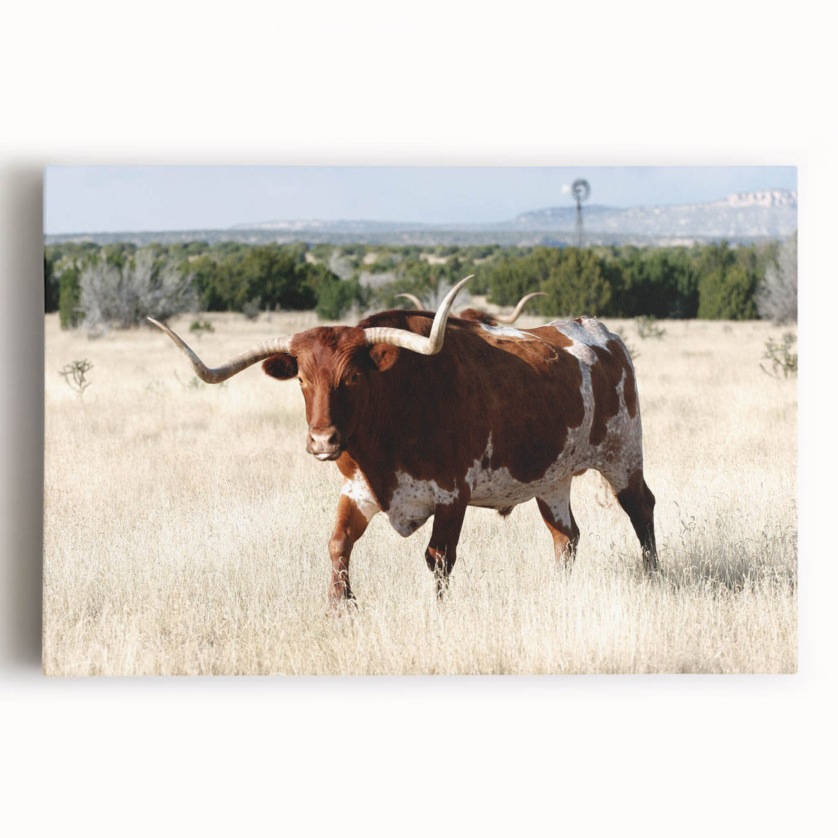 Large black and white stretched canvas of New Mexico scenery, ideal for kitchen wall art.