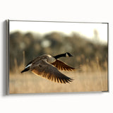 Framed canvas featuring a vintage-style landscape of Cape Hatteras with colorful art on a black background.