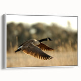 Vintage poster art of Cape Hatteras with colorful palette on extra large framed canvas, suitable for living room decor.