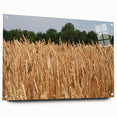 Acrylic print of a North Dakota landscape in muted earth tones, suitable for dining room decor.