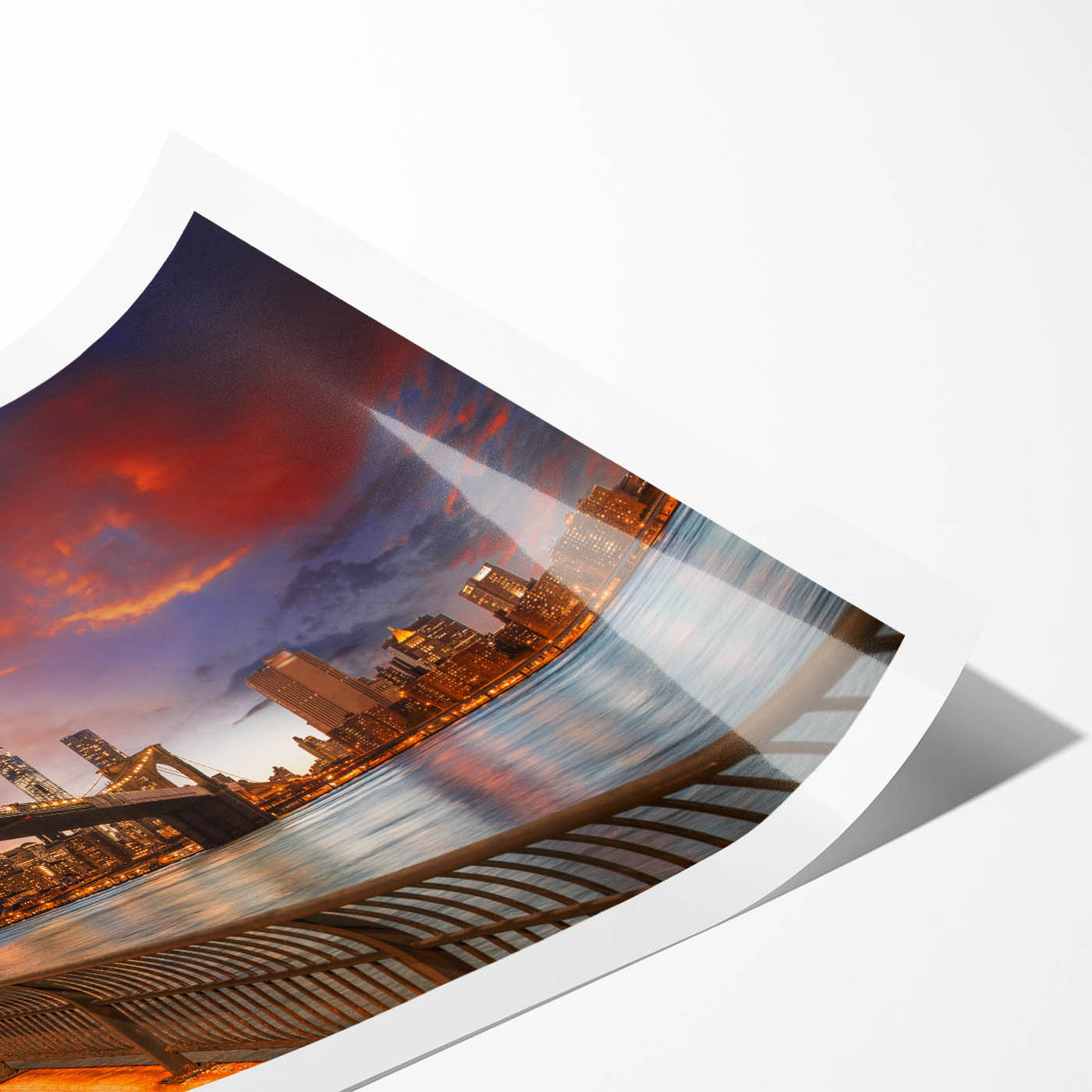 Extra large rolled print of line art flowers over a muted New York City Brooklyn backdrop.