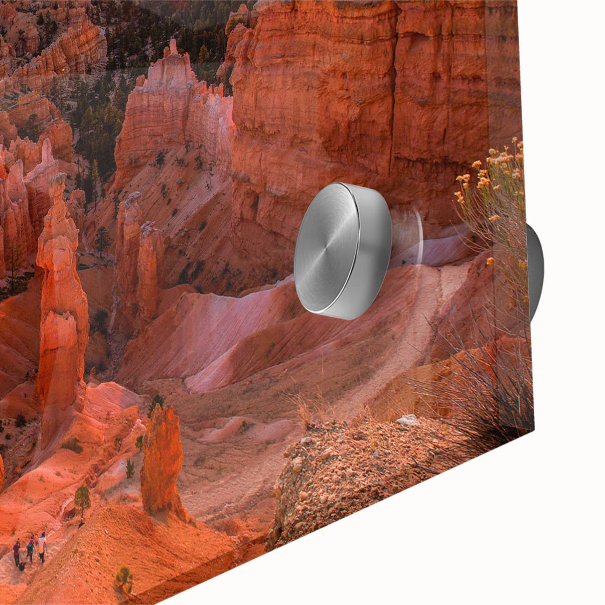 Large acrylic print of Bryce Canyon with rich orange and red hues.