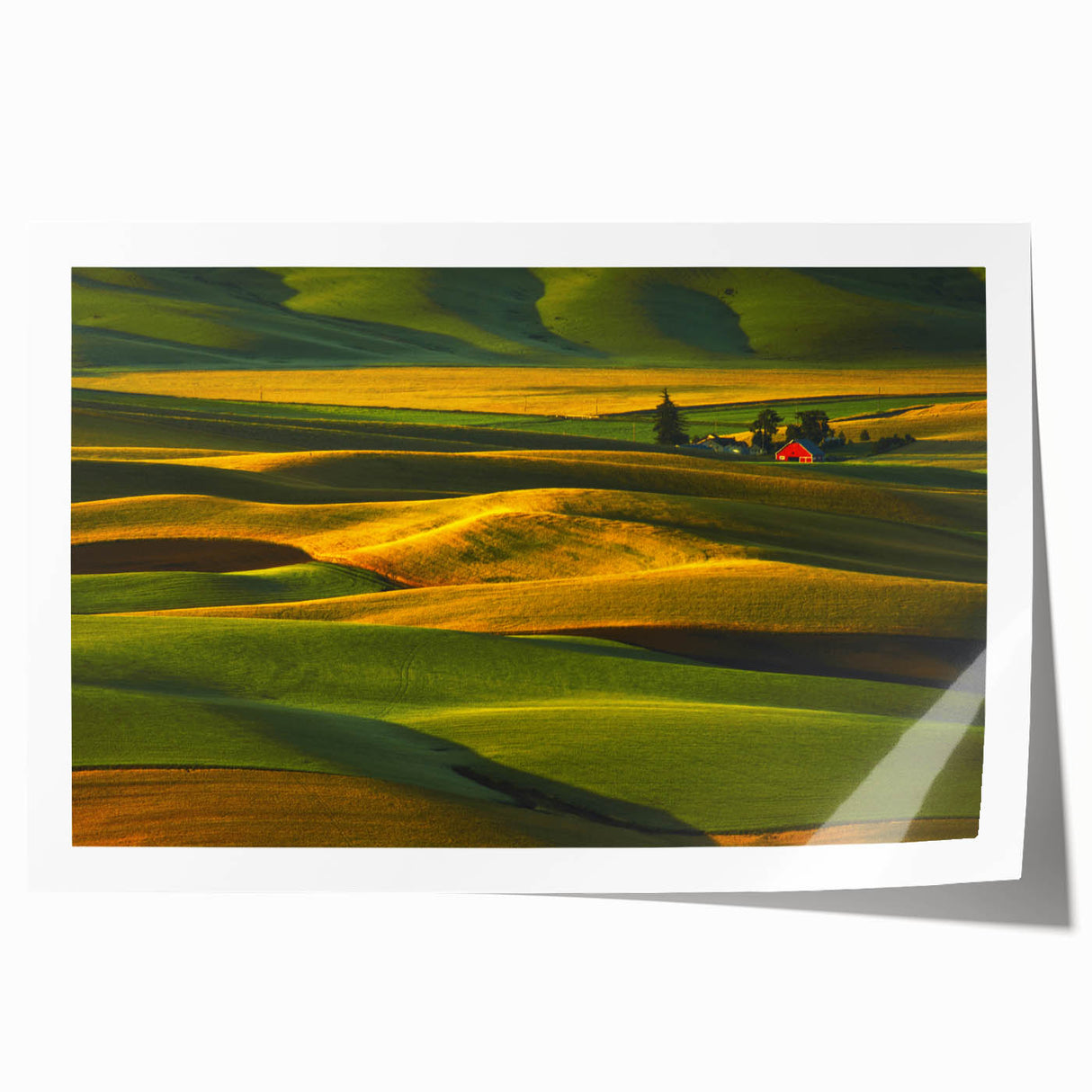 Rolled print of Palouse scenery in Washington, featuring soft green and yellow tones, ideal for art wall dining room.