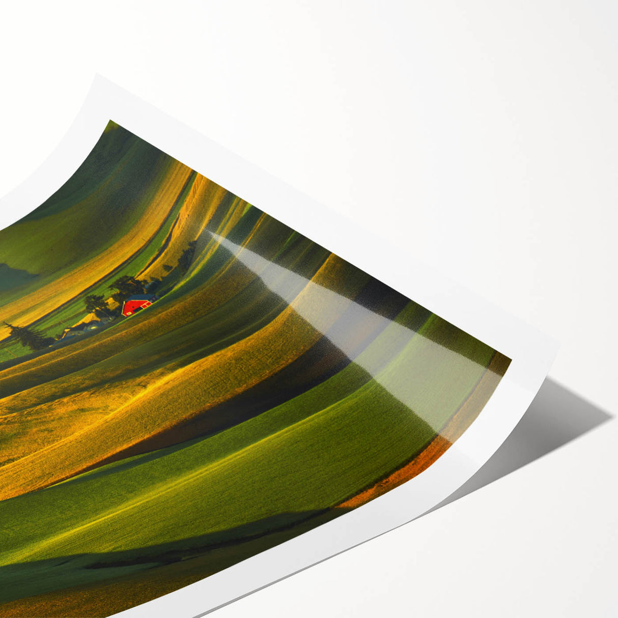 Extra large wall art of line art flowers in a rolling Palouse landscape, printed on rolled canvas.